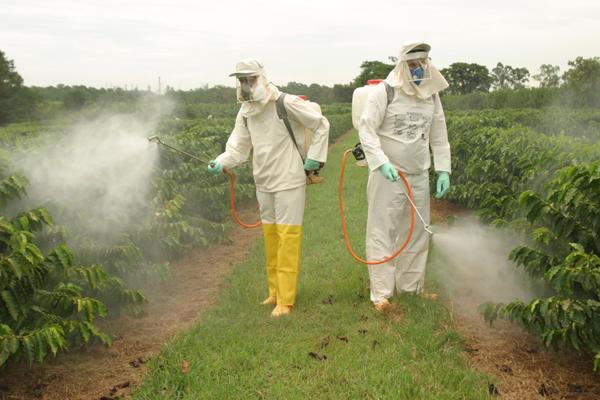 Biofungicidas Agricola del Rey