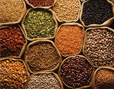 Semillas Agricola del Rey